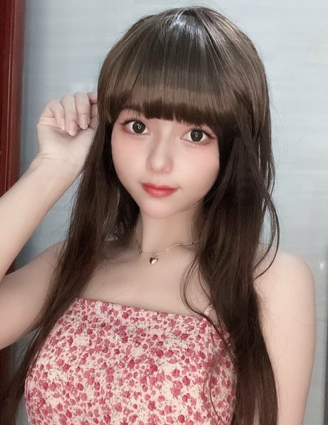 micacos HDモデル 画像