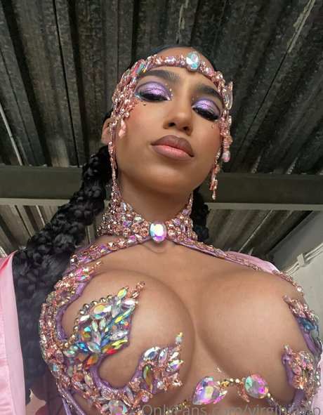 virginasanhousefree HDポルノスター 写真