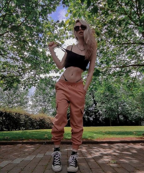 Dahlia Rex 素敵なスター 画像