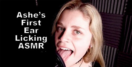 freecollection ポルノスター トップ 画像