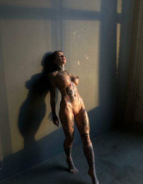 Stephanie Paul 無料スター ギャラリー