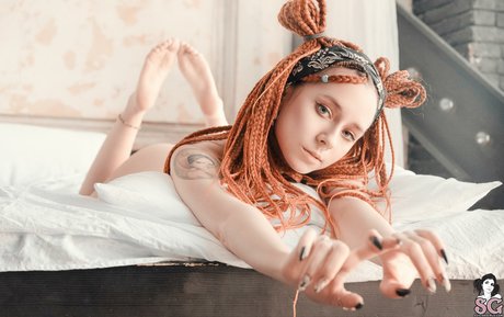 Pixie barbie プロフィール写真