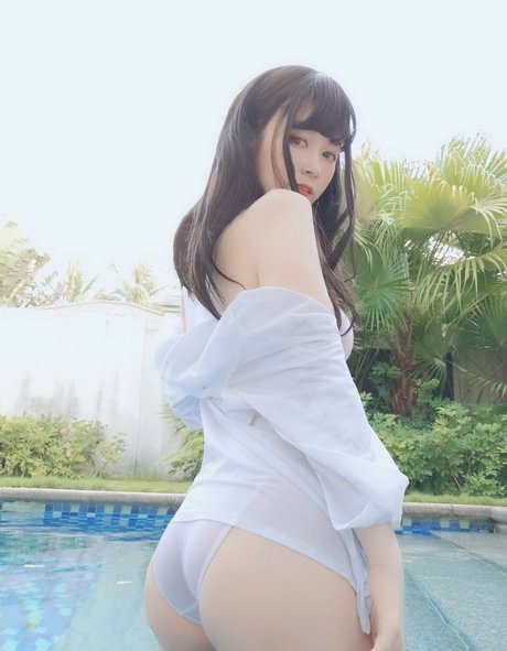 baiyin811 アートスター 写真