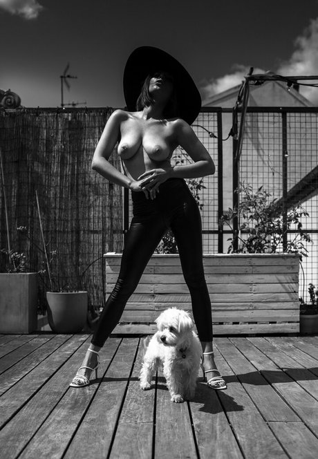 naked eve ポルノスター 画像