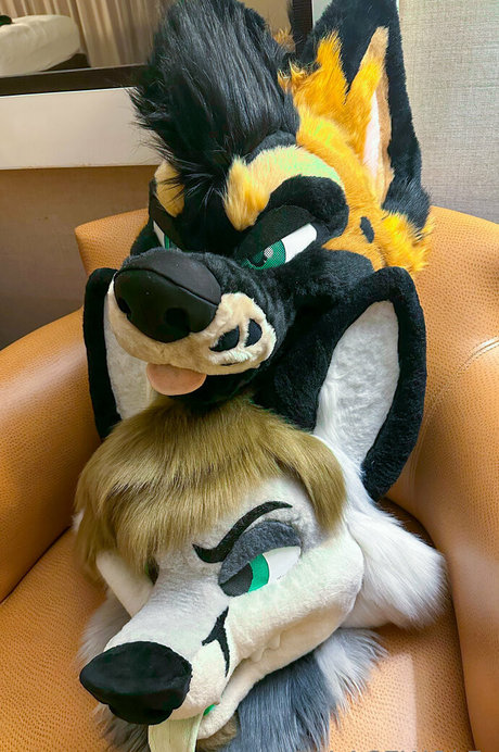 palacewolf 最高のポルノスター 写真