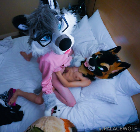 palacewolf アダルトスター アーカイブ