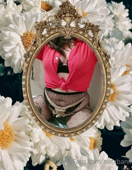 notxbvnny 美しいスター 画像