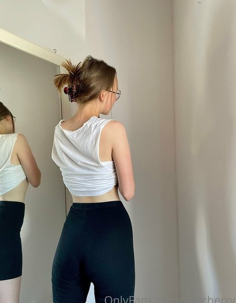 cencherry アートスター 写真