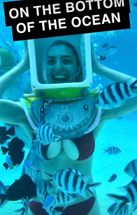 Rachel Levin 可愛い女優 画像