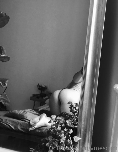 vmescudi 美しいスター 写真