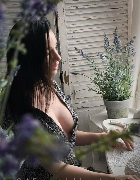 adelmorel 限定モデル 写真