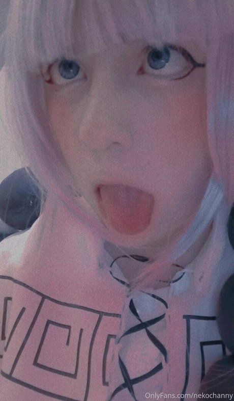 Neko Channy 限定モデル 写真