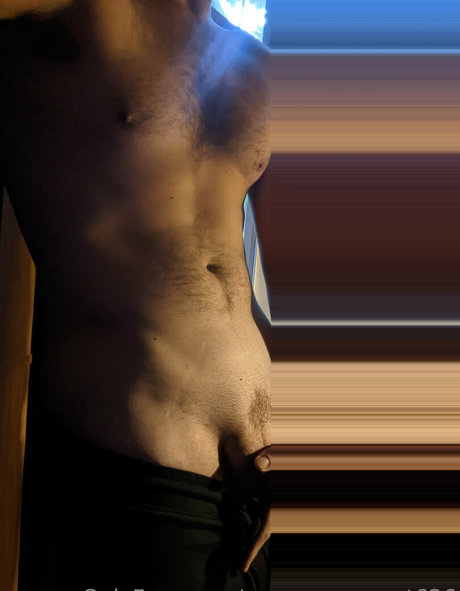 ジムガールズオンリーファンズ HD 写真