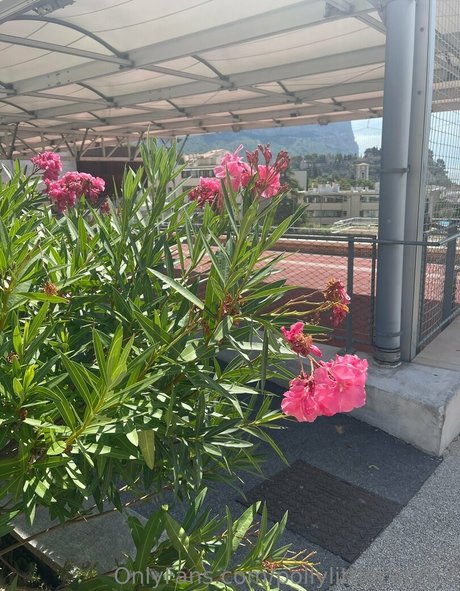 柔軟なティーンオンリーファン ポルノ 写真