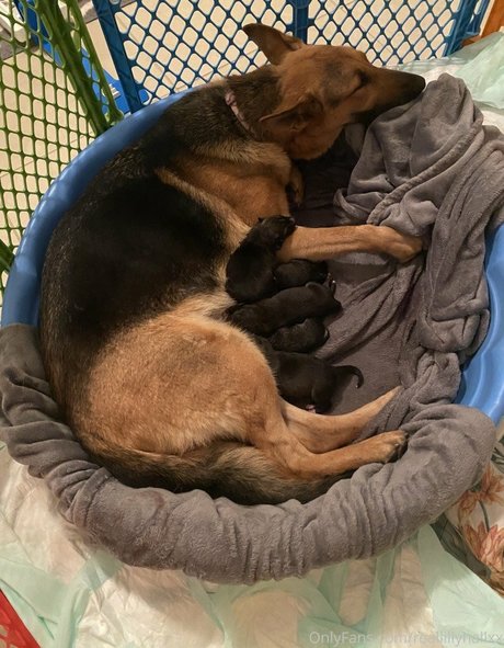 Lilly Hall アートモデル 写真