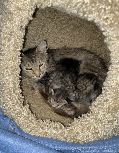 ニューハーフオンリーファン セクシーxxx 写真