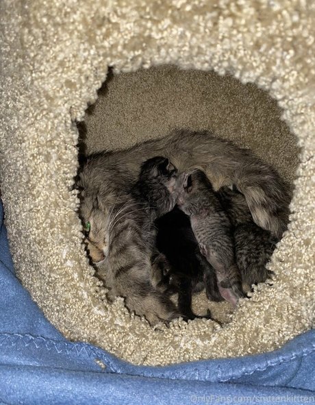 ソーシャルメディアインフルエンサーオンリーファンズ セックス ギャラリー