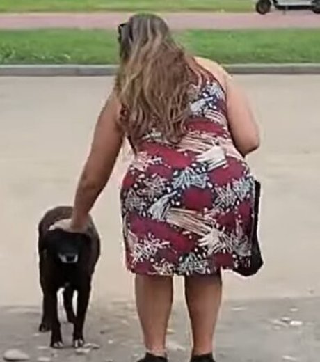 ワックスオンリーファン セクシーxxx 写真