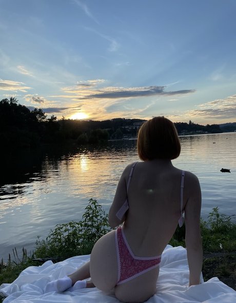 Wild imt 高品質女優 画像