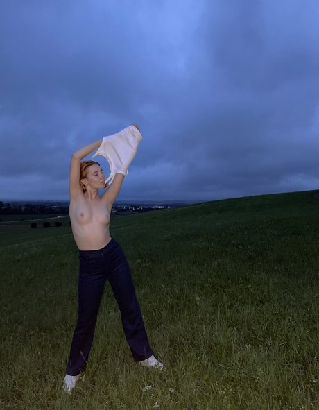 Wild imt 高品質スター 画像