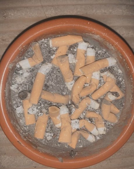 scarletjames301 最高のスター 写真