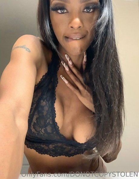 rhondap 完璧なスター アーカイブ