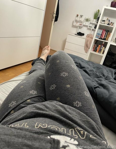 wild kitty9 トップモデル 写真