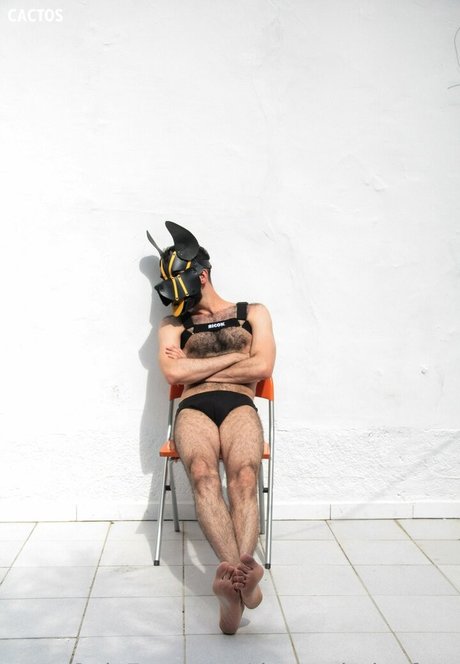 カップルのオンリーファンズ アートポルノ 写真