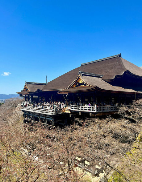 イギリスのおばあちゃんオンリーファンズ ホットxxx 写真