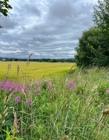 freefrost セックススター 画像