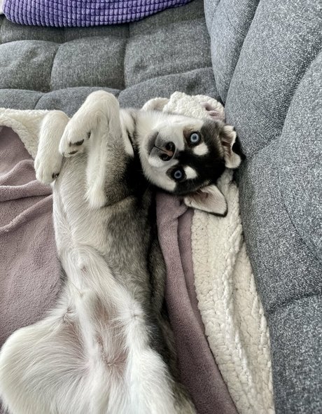 freefrost エロティックモデル 写真