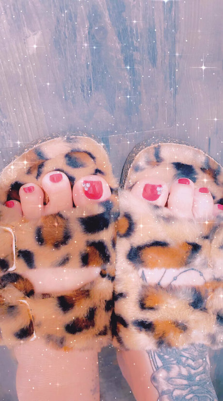 nobellastar 独占スター ギャラリー