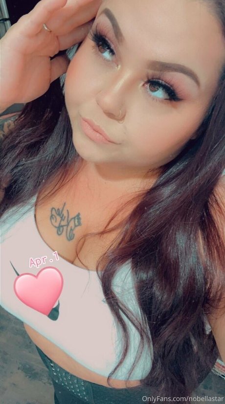 nobellastar HDモデル 画像