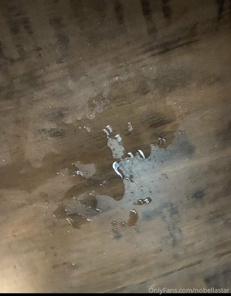 nobellastar アダルトモデル アーカイブ