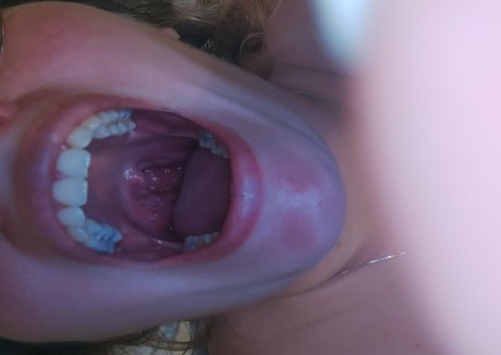 dana the lady vore 限定スター 写真