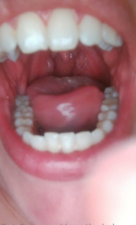 dana the lady vore トップスター 画像