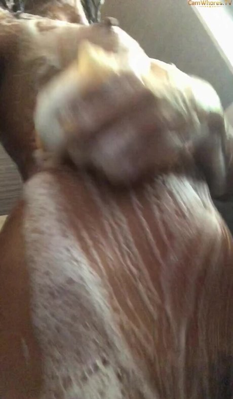 アナルアジア人オンリーファンズ パーフェクト 画像