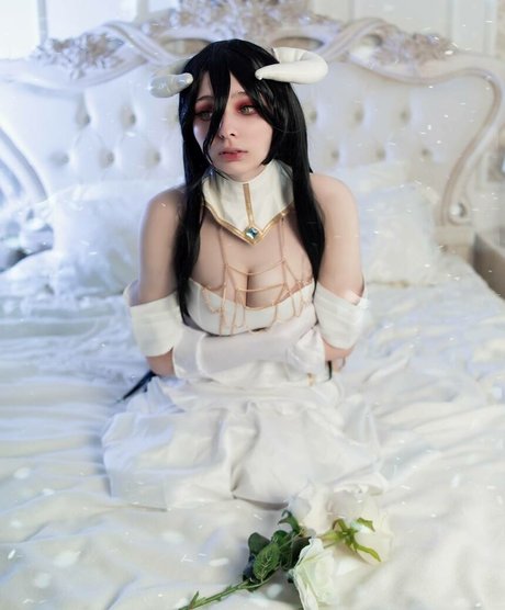 mia green tea 完璧なスター 画像