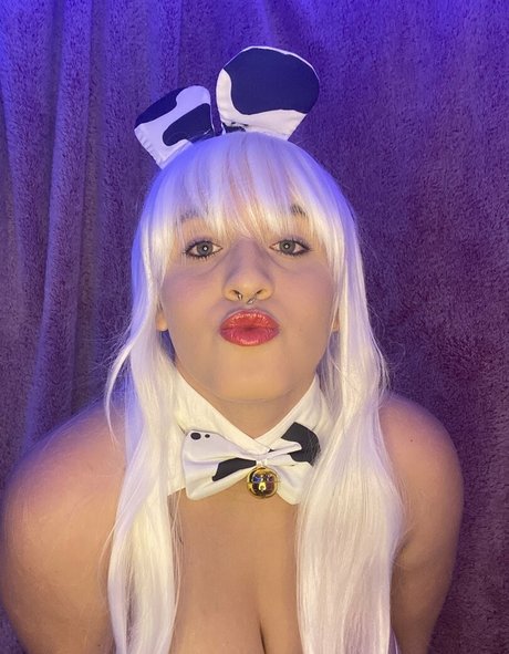 rajzoreo かわいいスター 写真