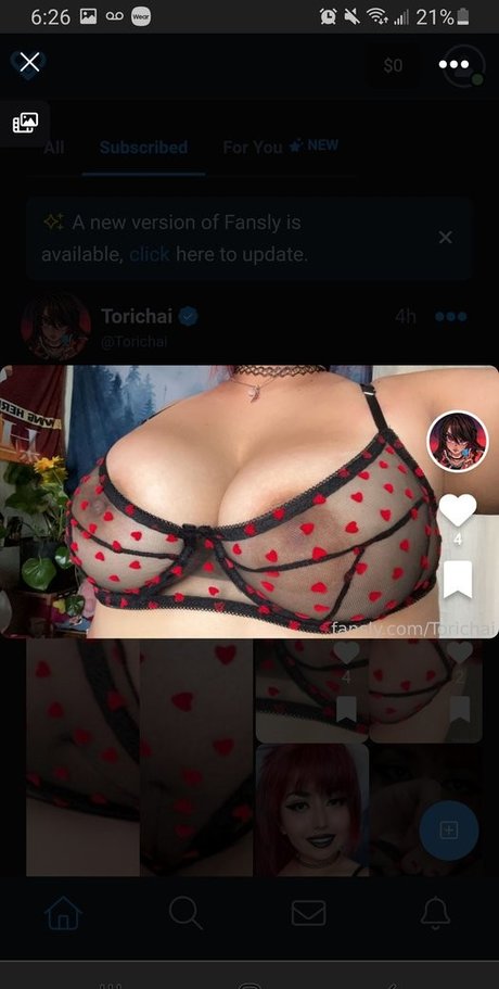 Torichai エロティックなスター 写真