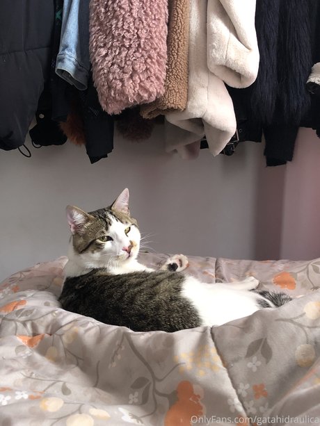 熟女の足オンリーファンズ 無料 画像