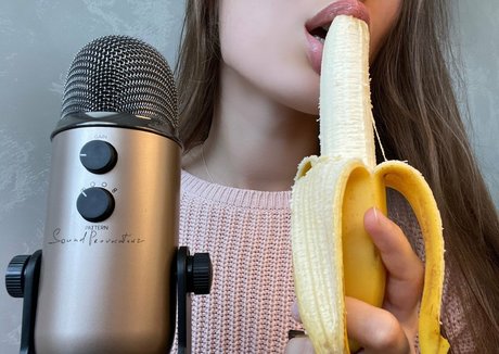 soundprovocateur 素敵なスター アーカイブ