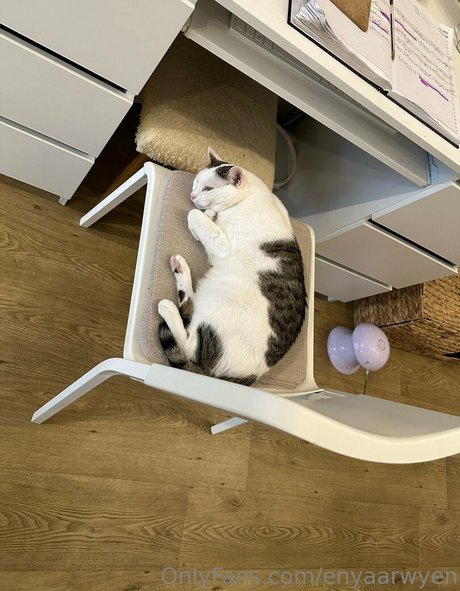 本物のオンリーファンズ 無料 写真