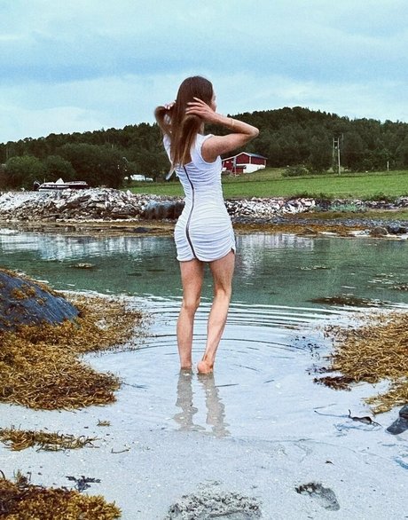 wilfjell プロフィール写真