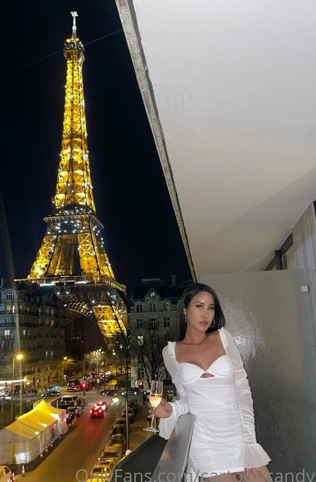 Cartooncandy トップスター アーカイブ