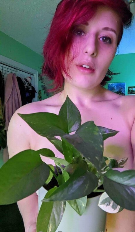 baeged ポルノスター 画像