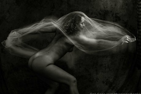 thegingerbanks ヌードのポルノスター 写真