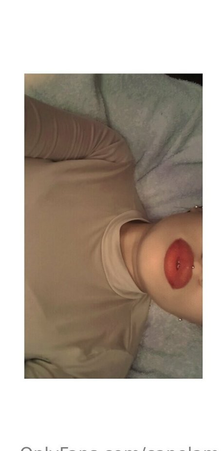 フラットオンリーファン HD 画像