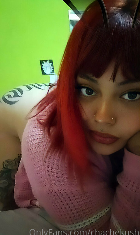 chachekush420 ポルノスター セクシー 写真