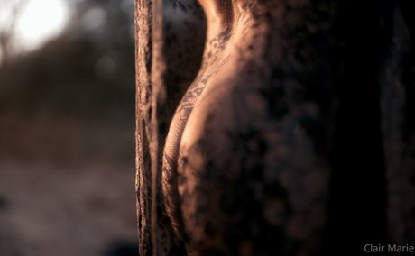 熟女 BBC オンリーファンズ 無料セックス 画像